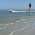 article image -